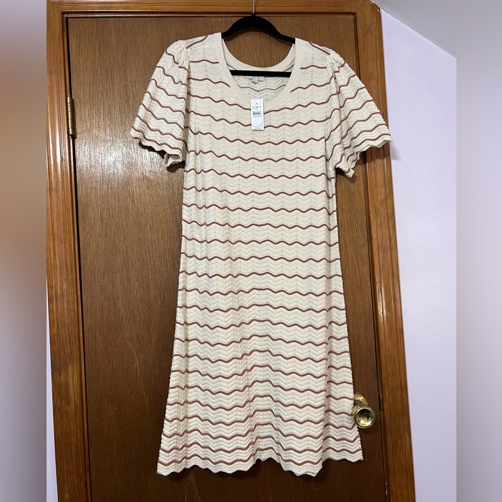 NWT Loft Cream and Brown Scalloped A-Line Dress Size Large
